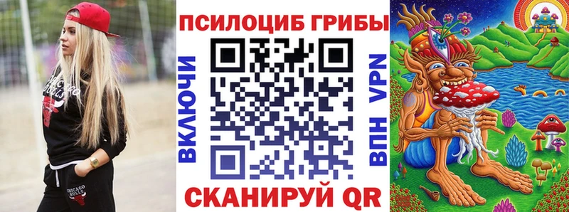 Псилоцибиновые грибы Psilocybine cubensis блэк спрут как зайти Краснокамск купить наркотики сайты
