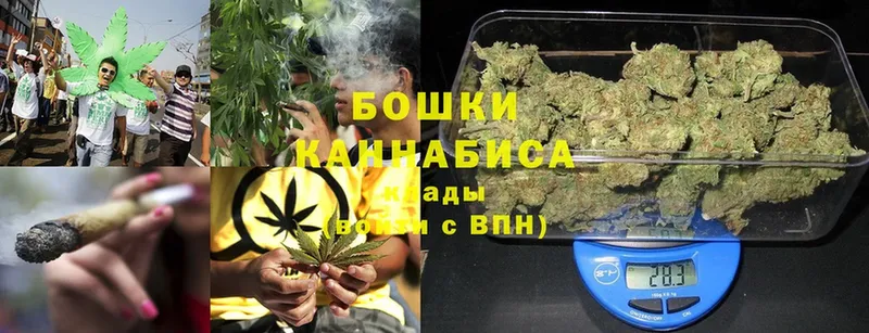 Шишки марихуана White Widow  магазин продажи наркотиков  Краснокамск 